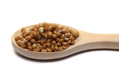 Cooked spelt grain pile in wooden spoon isolated on white