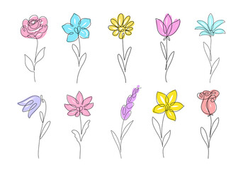 Fototapeta Flower set continuous line drawing. Plants one line illustration. Minimalist Prints vector illustration obraz