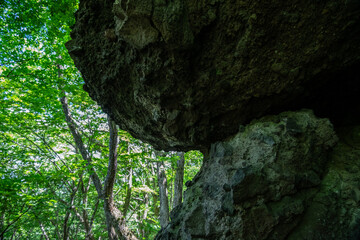 森の中にある巨大な岩