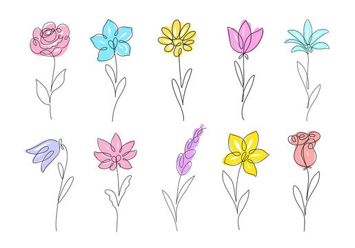 Flower set continuous line drawing. Plants one line illustration. Minimalist Prints vector illustration