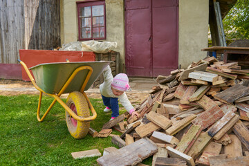 pile of firewood and baby,in a wheelbarrow to collect firewood in a rural yard