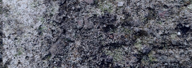 texture of the stone