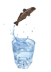 Régine australe , poisson, sauter, évasion, eau, en verre, boire, clapoter, froid, liquide, glace, isolé, blanc, boisson, bouillonner, abattre, bleu, frais, éclaboussure, clair, verser, transparent, ,