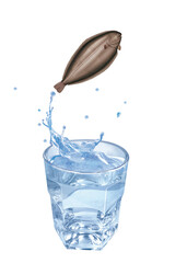 sole  , poisson, sauter, évasion, eau, en verre, boire, clapoter, froid, liquide, glace, isolé, blanc, boisson, bouillonner, abattre, bleu, frais, éclaboussure, clair, verser, transparent, , sain, pro