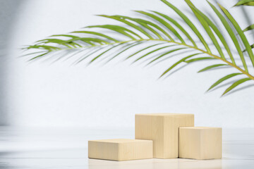 Podium for product presentation on natural background. Product display stand with wooden cube under palm leaf