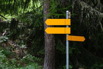 Yellow empty signboards in hiking and trekking route in a forest, Swiss Alps.