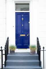 Bright beautiful wooden door with steps. Flowers near the wooden door.