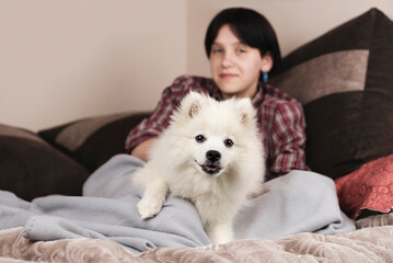 The dog next to the mistress a teenage girl lying on the sofa at home, the dog seems to be defending his girlfriend mistress, menacingly and at the same time funny looking at the camera