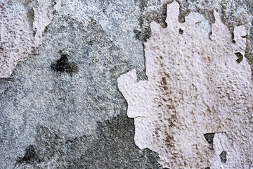Paint peeling on the walls of the house with black mold, not noise, but dust