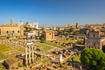 The Roman Forum (latin name Forum Romanum), plaza of the ancient roman ruins at the center of the...