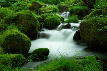 渓流の流れ