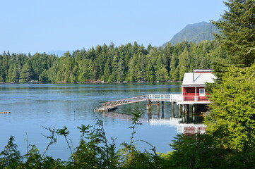 Fototapeta premium Tofino
