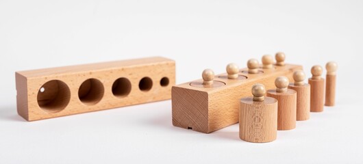 Montessori knobbed wooden cylinders with blocks. Children puzzle for development of dimension...