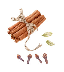 Watercolor cinnamon sticks, cardamon, cloves isolated on white background.