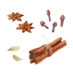 Watercolor cinnamon sticks, cardamon, cloves, anise isolated.
