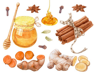Watercolor honey and spices, ginger, turmeric, cinnamon sticks isolated on white background.