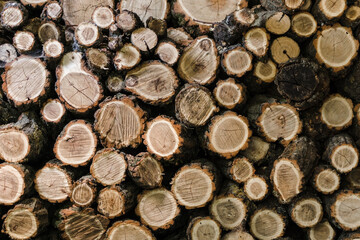 The face of the deck was folded. Deforestation in Europe. Winter season. Logging for heating. Wooden logs texture