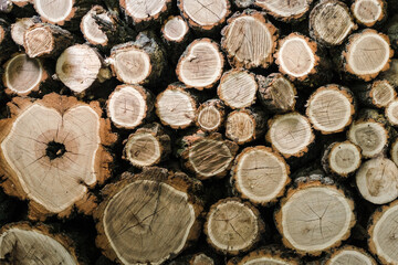 The face of the deck was folded. Deforestation in Europe. Winter season. Logging for heating. Wooden logs texture
