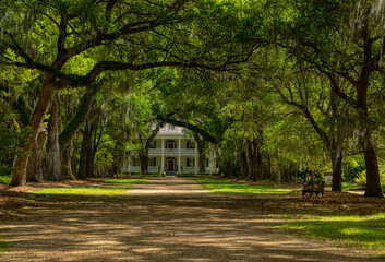 Rosedown Plantation, St Francisville Louisiana
