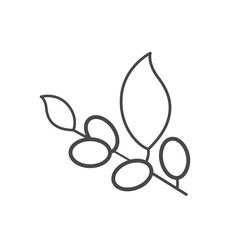 Vector linear icon with olives