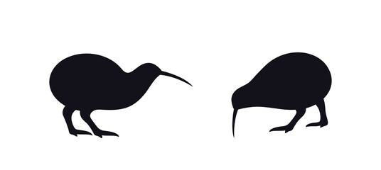 Kiwi bird  silhouette.  Isolated kiwi on white background 