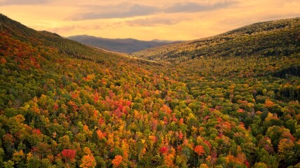 Fall in Maine