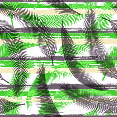 Exotic coconut palm leaves tree branches