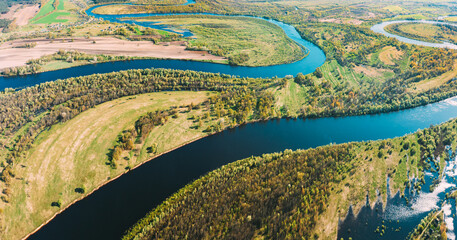 Panorama Aerial View Green Forest Woods And River Landscape In Sunny Spring Summer Day. Top View Of Nature, Bird's Eye View. Trees Standing In Water During Spring Flood floodwaters. woods in Water