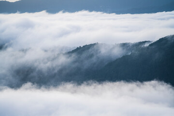 広島市安佐北区荒谷山から見える雲海