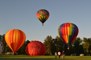 Colorful hot air balloons launching in the early morning