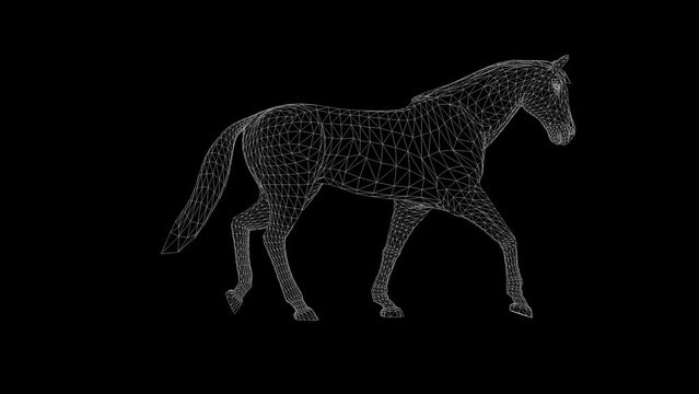 Wireframe 3d horse walk, seamless loop, Alpha PNG
