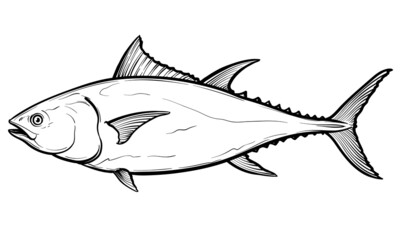 Tuna fish. Vector sketch of a fish, isolated on a white background.