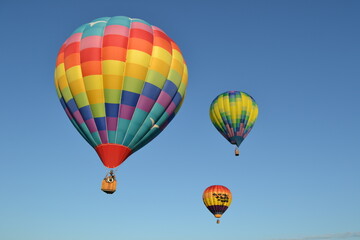 Colorful hot air balloons launching into the sky