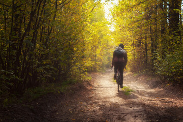 Cyclist rides on a trail in a beautiful autumn forest. The concept of sports and recreation.