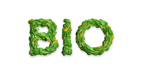 Leaves arranged in the word 