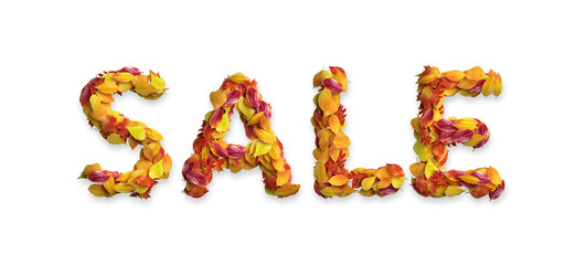 Leaves autumn arranged in the word 