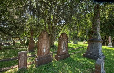 Fototapeta premium Rosedown Plantation, St Francisville Louisiana