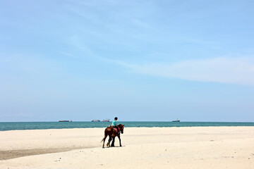 Little boy riding horse on the beach in sunny day.