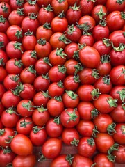 red tomatoes background