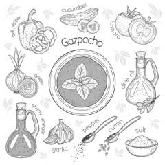 Gazpacho and set of ingredients for it. Vector food illustration. Isolated on white. Doodle monochrome outline
