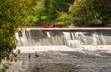Elora, Ontario, Canada - 05 15 2022: Rowers in bright red kayaks look at geese behind waterfalls of...
