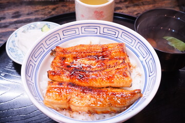 Japanese Food, Una-don or Grilled Unagi Eel on Rice - 日本料理 うなぎ うな丼