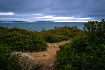 Dramatic cloudscape and seascape over the dirt road on the wild vine bushes on Cape Cod