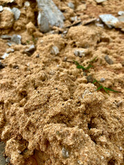 Texture : textile - soil, paving, sand used for building a house in a rural area