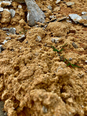 Texture : textile - soil, paving, sand used for building a house in a rural area