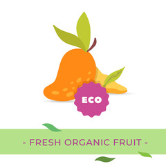 Vector Fresh yellow and orange mango with green leaves poster. Eco round label sticker. Healthy organic food package or banner art. Cute illustration.