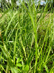 dependent, and signposts along the road. Dependent, and signposts along the road.