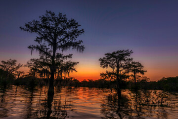 Swamp Sunset - obrazy, fototapety, plakaty