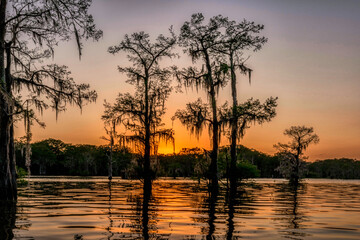 Swamp Sunset