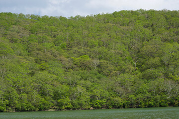 赤城山 小沼